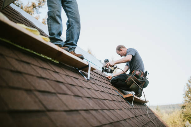Best Gutter Installation and Roofing  in Ledbetter, KY