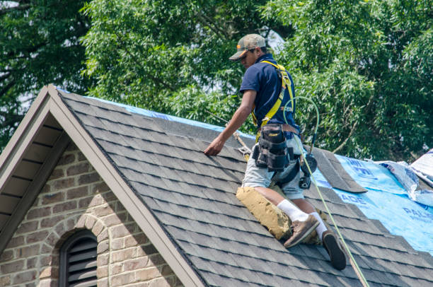 Best Roof Replacement Cost  in Ledbetter, KY